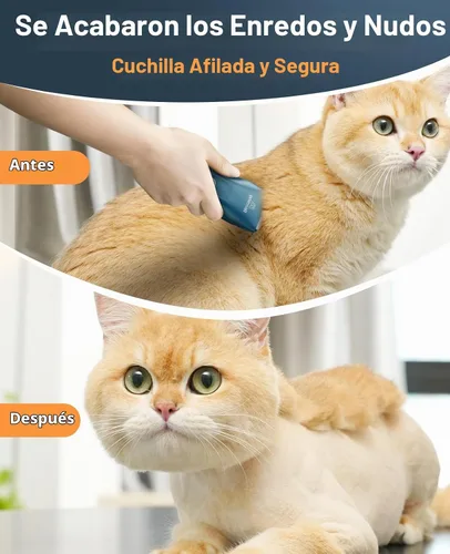 Vista 3 de oneisall Cortapelos para mascotas para gatos con pelo mate, afeitadora Verde