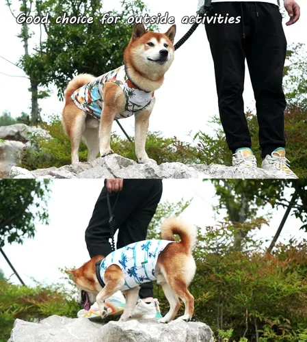 Vista 4 de Camisas hawaianas para perros, de secado rápido, de malla refrescante, de verano, con estampado de coco para perros pequeños, azul y amarillo, XS