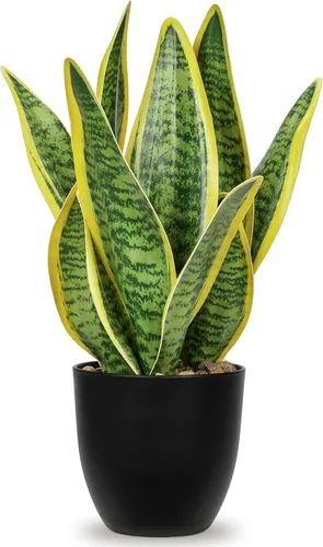 Vista 7 de Hollyone Planta de serpiente falsa de 12 pulgadas, pequeña planta de serpiente artificial en maceta con maceta de cerámica, planta Sansevieria