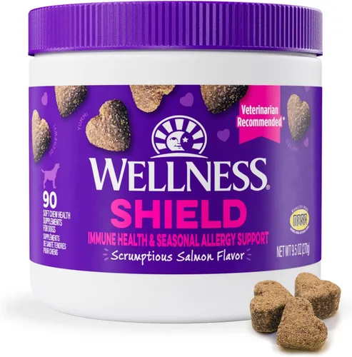 Vista 11 de Wellness Pumpkin Patch - Suplementos de salud digestiva suave con sabor a parche para perros, 45