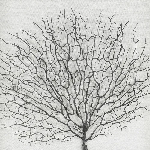 Vista 2 de Huji Decoración de pared de caja de sombra de raíces de árbol plateado