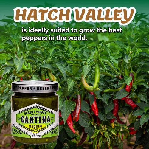 Vista 5 de Desert Pepper Trading Company Cantina Salsa, verde medio, 16 onzas