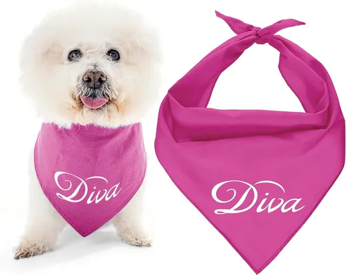 Vista 41 de Parisian Pet Bandanas naranjas para perros – Bandana ajustable para cachorros – Accesorios para perros para niños y niñas – Pañuelo para perros Best