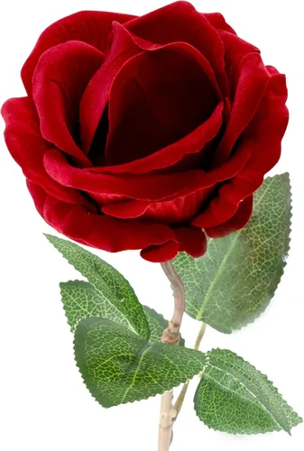 Vista 2 de Caja de anillo de rosa noble Caja de anillo de compromiso con corazón de flor para anillo de propuesta, ceremonia, boda u ocasiones especiales