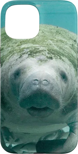 Vista 6 de Manatee Case for iPhone 17