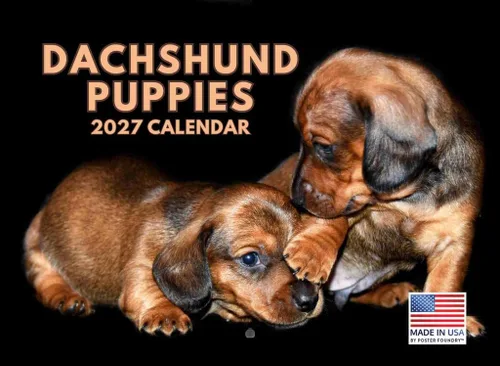 Vista 19 de Calendario mensual de pared Airedale Terrier Dog 2027