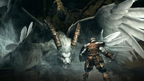 Vista 3 de Dark Souls with Artorias of the Abyss Edition