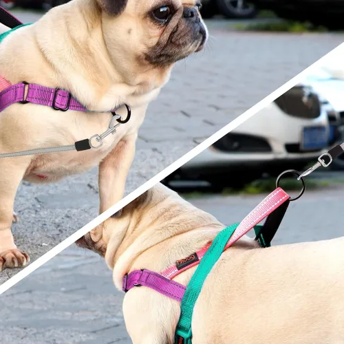 Vista 3 de Didog Arnés sin tirones para perro, con mango acolchado suave, ajuste rápido y ligero ajustable, fácil de entrenar y caminar para perros pequeños