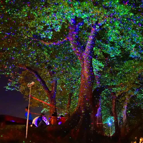 Vista 5 de Proyector de luces de jardín de Navidad con láser de luciérnaga