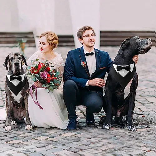 Vista 5 de Collar de perro de esmoquin para boda, compromiso y cumpleaños, collar bandana formal para perro disfraz con corbata de moño y hebilla ajustable