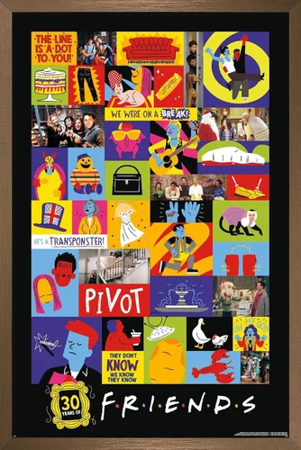 Vista 16 de Trends International Friends 30th - Póster de pared con cuadrícula, 22.4 pulgadas de largo x 14.7 pulgadas, versión enmarcada en madera de granero