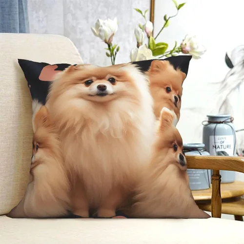 Vista 7 de Fundas de almohada con estampado de cachorros de Pomeranians de 16 x 16 pulgadas, funda de cojín suave y acogedora funda de almohada decorativa