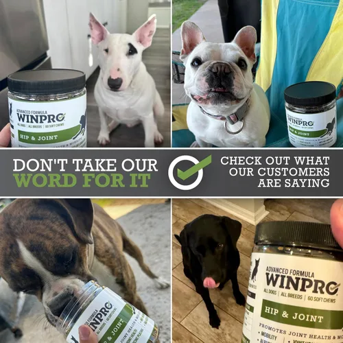 Vista 7 de WINPRO Suplemento para cadera y articulaciones para perros - Masticables suaves potenciados por plasma para la salud de las articulaciones