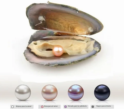 Vista 6 de Milky Way Natural Oyster Pearl Perlas cultivadas ovaladas de agua dulce