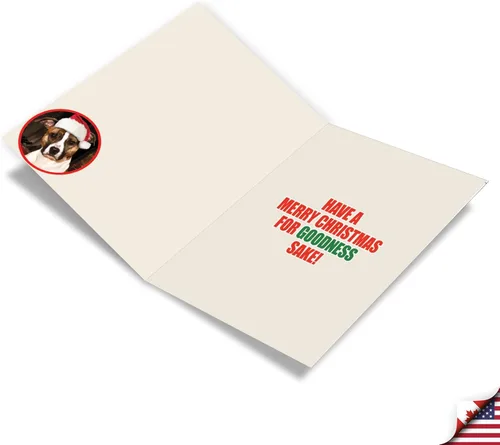 Vista 2 de NobleWorks Paquete a granel de 36 tarjetas de felicitación divertidas de Navidad con sobres, tarjetas divertidas en caja para perros y mujeres