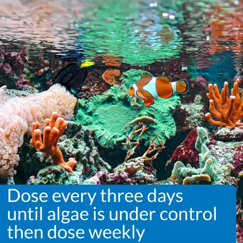 Vista 2 de API MARINE ALGAEFIX - Botella de 16 onzas para control de algas