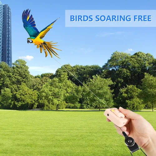Vista 6 de 2024 - Correa para pájaros, correa retráctil de loro, utilizada para entrenamiento de vuelo de pájaros, 0-20 pies libremente ajustable, adecuada