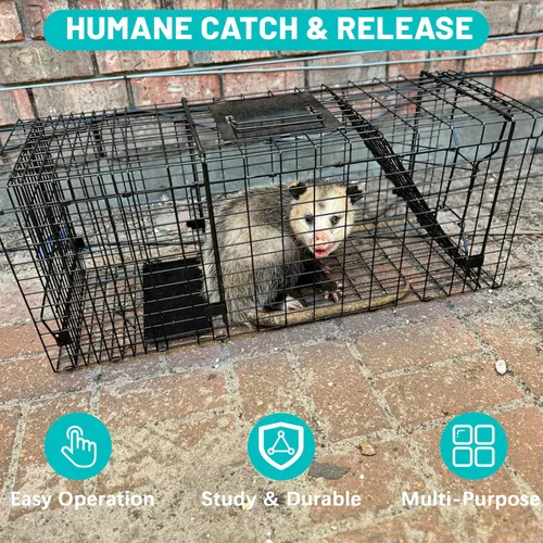 Vista 10 de Trampa de jaula para animales vivos, trampa de ardillas humanas de 24 "x 7