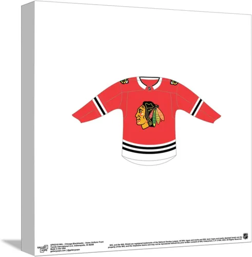 Vista 10 de Trends International Gallery Pops NHL Chicago Blackhawks - Póster de pared frontal de uniforme para el hogar, 12.00 x 12.00 pulgadas, versión