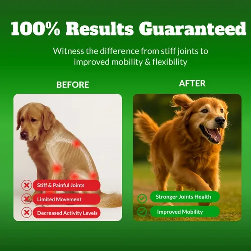 Vista 4 de Suplemento masticable para articulaciones de perros con glucosamina, MSM y Omega 3, apoyo articular para perros mayores y de razas grandes