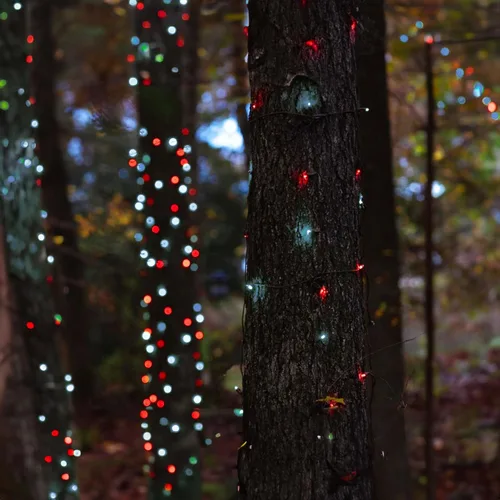 Vista 7 de TW SHINE - Luces de Navidad operadas con batería, paquete de 2, total 100 LED, 32 pies, luces de cadena operadas con batería con 8 modos, luces