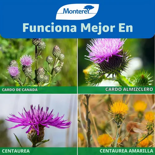Vista 3 de Monterey Thistledown Concentrado herbicida 8 onzas
