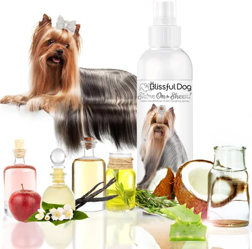 Vista 7 de The Blissful Dog Shine-On + Sheen Coat - Spray para perro, acondicionador fácil de usar, acondicionador sin enjuague sensible a la piel, espray