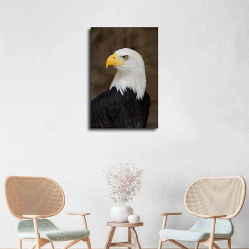 Vista 5 de SinYor Póster de retrato de un águila calva patriótico de Estados Unidos, arte de pared moderno para habitación, sala de estar, baño, cocina