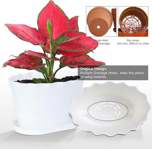 Vista 4 de Oliz Macetas de hierbas, 6 unidades, jardinera de ventana, macetas para plantas suculentas de cactus con bandejas, para decoración del hogar Blanco