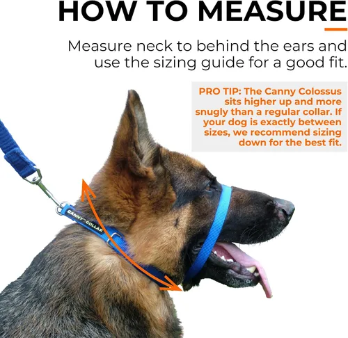 Vista 8 de Canny Colossus - Collar de cabeza de perro sin tirones Ayuda de entrenamiento suave y humanitario para perros de razas grandes y gigantes