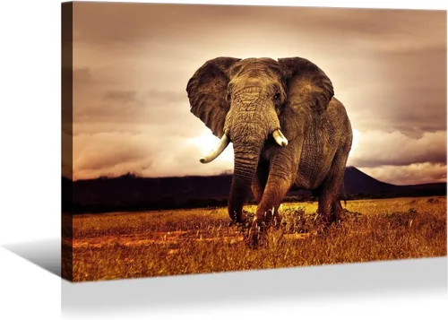 Vista 8 de YONICA Lienzo de pared de animales de la naturaleza, pintura de pared de águila, impresión artística de águila calva voladora impresa en lienzo