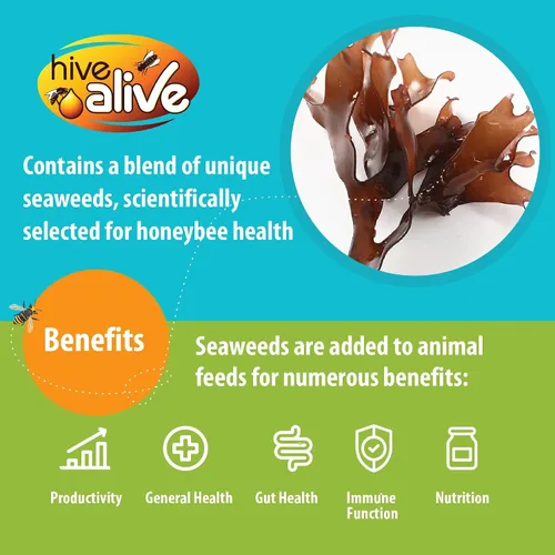 Vista 4 de HIVE ALIVE Fondant de alimento para abejas para alimentación de invierno, primavera y otoño, 2.2 libras x 15 unidades Paquete de 15 unidades de 2.2