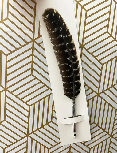Vista 6 de OPENDGO Bolígrafo de plumas con tallo de metal, pluma vintage refinada plateada para amantes de la escritura escolar 1 bolígrafo de plumas de búho