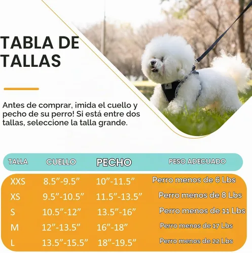 Vista 6 de Juego de arnés y correa para perro, arnés sin tirones para perros pequeños, fácil caminar, suave y transpirable, arnés para perros pequeños, arnés