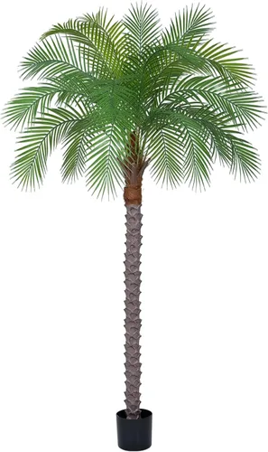 Vista 2 de Palmera fénix artificial de 6 pies, planta de palma artificial de seda de coco artificial para interiores y exteriores, hogar, oficina, patio, baño