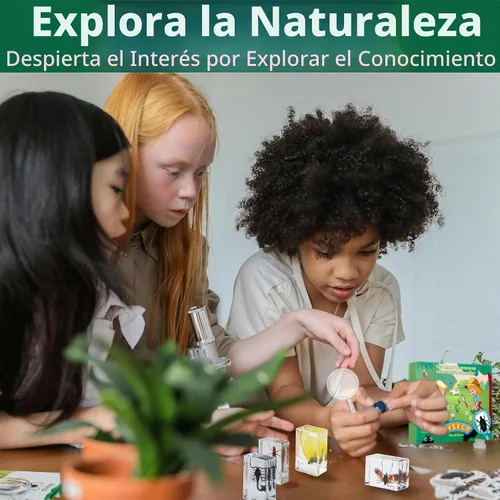 Vista 5 de Specimen de Insectos en Resina, 12 PIEZAS Colección Educativa Científica de Insectos, Specimens Reales de Varias Mariposas y Escarabajos