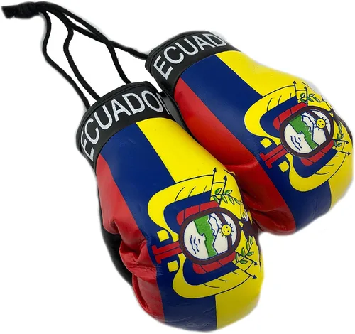 Vista 22 de Mini guantes de boxeo para colgar en el espejo del coche (Camerún)
