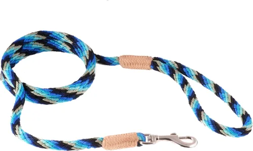 Vista 92 de Alvalley Correa para perros estilo broche – Correa de nailon estilo broche para perros – Fácil de manejar – Perfecto para perros pequeños, medianos