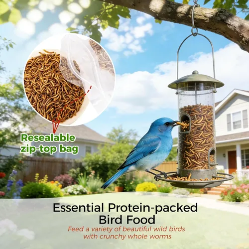 Vista 6 de RANZ 4.5 KG Gusanos secos sin OMGs para pollos, gusanos altos en proteínas, alimento premium para pollos, alimento perfecto para aves y golosinas