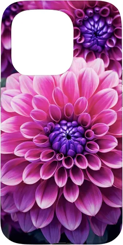 Vista 14 de Dahlia Flower Floral Nature Garden Funda con diseño granate rosa y morado para iPhone 16