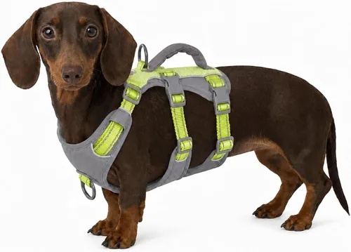 Vista 22 de Arnés reflectante para perros Huntboo con mango, a prueba de escapes, antideslizante, transpirable, ligero, arnés ajustable para perros pequeños