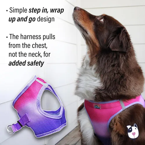 Vista 3 de Doggie Design Arnés para perro, arnés para perro sin estrangulamiento, chaleco para perro, malla de poliéster, arnés para mascotas, diseño simple