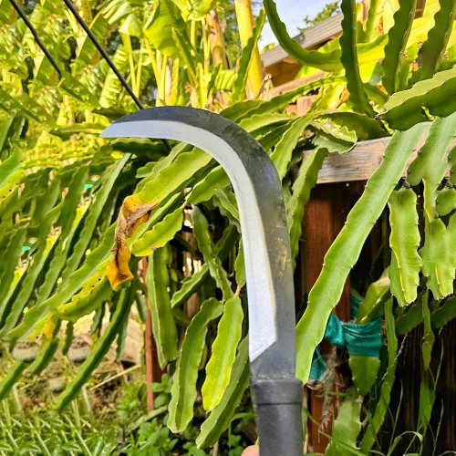 Vista 3 de Billhook - Herramientas de jardín para hoz, cepillo para limpiar hoz, con hoja de acero al carbono, cuchillo para hoz, machete para hoz para hierba