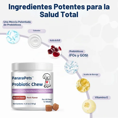 Vista 6 de Probióticos para perros, probióticos para la salud intestinal del perro, la salud gastrointestinal promueve la digestión y la absorción