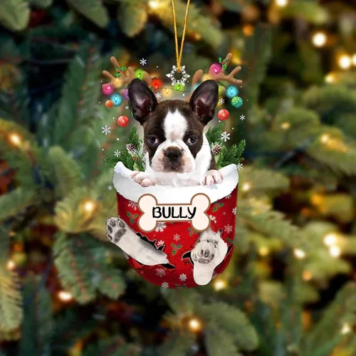 Vista 81 de IZI POD Affenpinscher Adorno de Navidad personalizado para perro, adorno de bolsillo de nieve para perro para árbol de Navidad, adorno acrílico