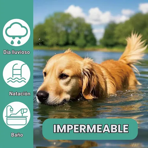 Vista 6 de Collar antipulgas para perros, tratamiento y prevención de pulgas