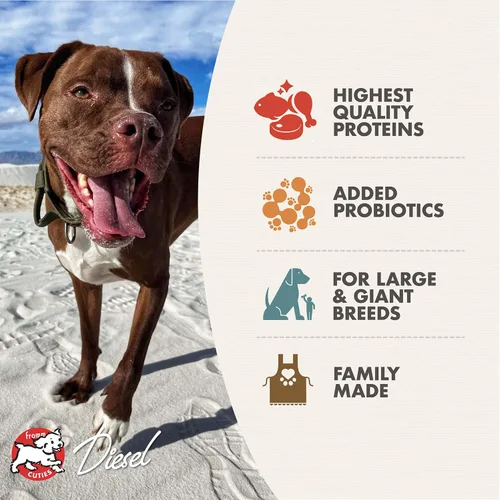 Vista 3 de Fromm Heartland Gold - Alimento seco para perros adultos de razas grandes y gigantes, receta de carne de res, 12 libras