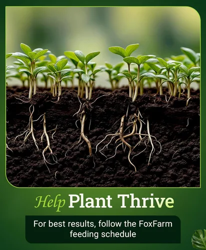 Vista 4 de FoxFarm Bushdoctor Kangaroots - Líquido para remojar raíces - Inoculante de raíces para desarrollar masa radicular, lleno de microbios y nutrientes