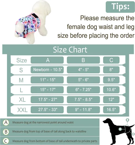Vista 3 de Pañales para perras hembra, pañales reutilizables para perritos en celo, altamente absorbentes para la incontinencia de mascotas, con broches