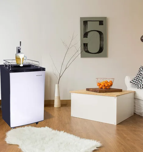 Vista 4 de Igloo FRB200C refrigerador para cerveza de 6 pies cúbicos con tanque y kit de dióxido de carbono de acero inoxidable